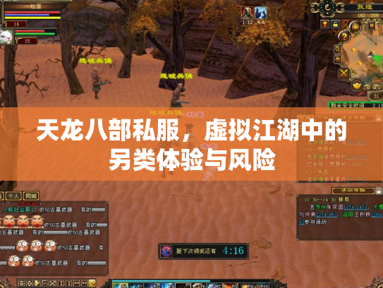 天龙八部私服，虚拟江湖中的另类体验与风险