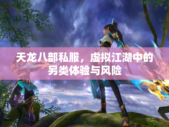 天龙八部私服，虚拟江湖中的另类体验与风险