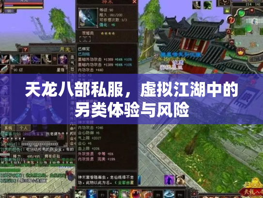 天龙八部私服，虚拟江湖中的另类体验与风险