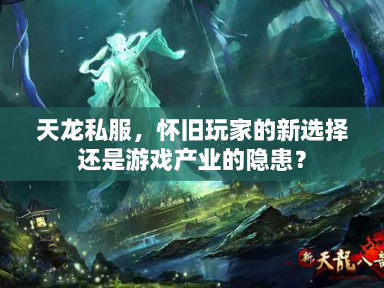 天龙私服，怀旧玩家的新选择还是游戏产业的隐患？