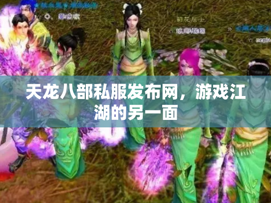 天龙八部私服发布网，游戏江湖的另一面