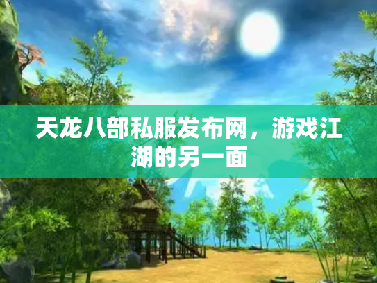 天龙八部私服发布网，游戏江湖的另一面
