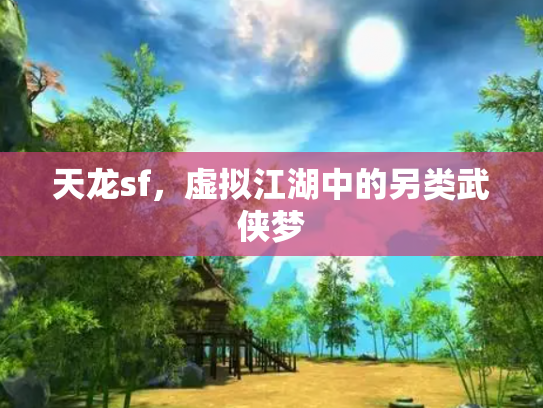 天龙sf，虚拟江湖中的另类武侠梦