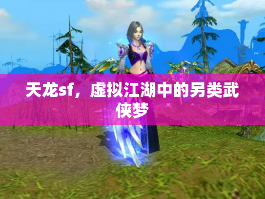 天龙sf，虚拟江湖中的另类武侠梦