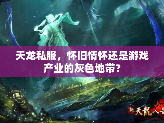 天龙私服，怀旧情怀还是游戏产业的灰色地带？