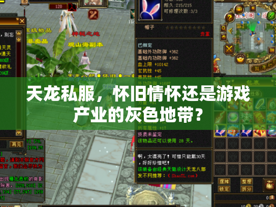 天龙私服，怀旧情怀还是游戏产业的灰色地带？