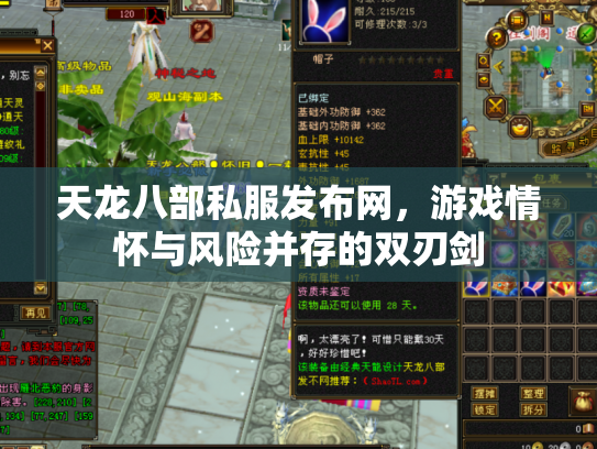 天龙八部私服发布网，游戏情怀与风险并存的双刃剑