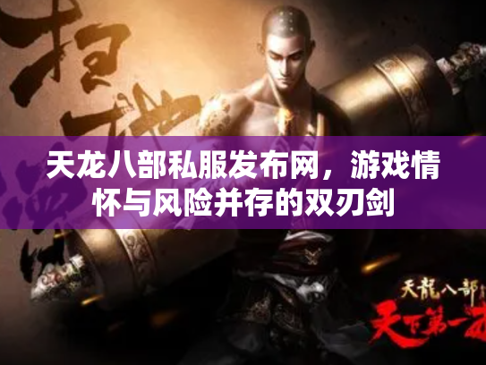 天龙八部私服发布网，游戏情怀与风险并存的双刃剑