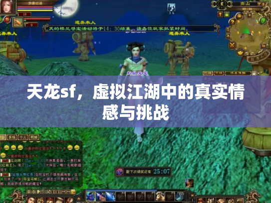 天龙sf，虚拟江湖中的真实情感与挑战
