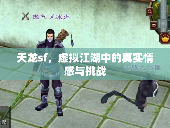 天龙sf，虚拟江湖中的真实情感与挑战