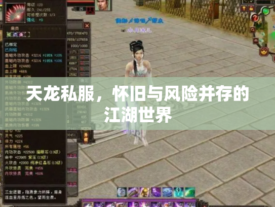 天龙私服，怀旧与风险并存的江湖世界