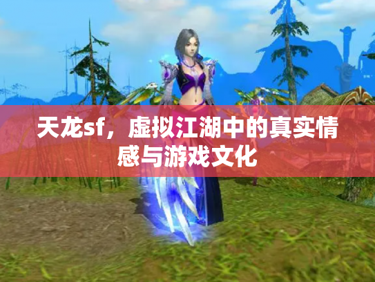 天龙sf，虚拟江湖中的真实情感与游戏文化