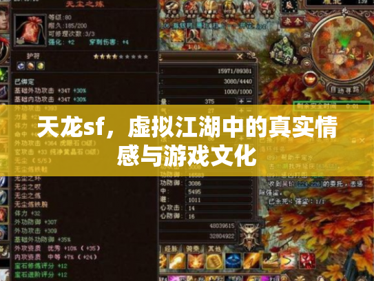 天龙sf，虚拟江湖中的真实情感与游戏文化
