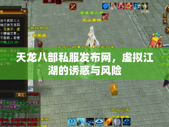 天龙八部私服发布网，虚拟江湖的诱惑与风险