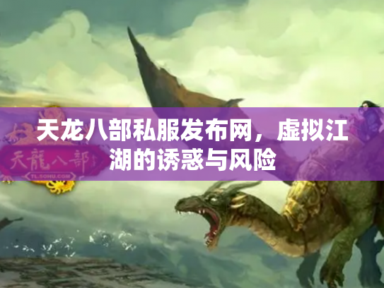 天龙八部私服发布网，虚拟江湖的诱惑与风险