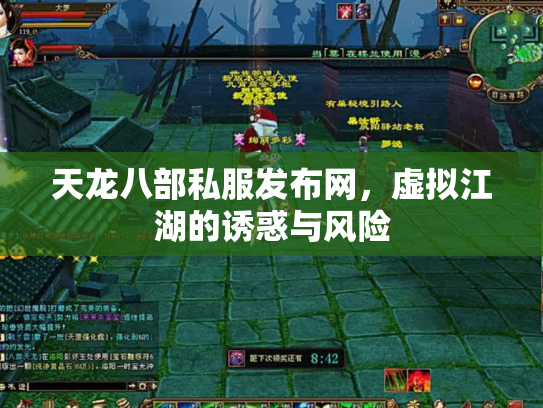 天龙八部私服发布网，虚拟江湖的诱惑与风险