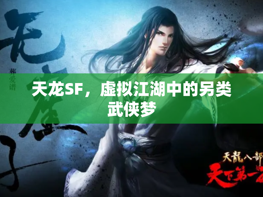 天龙SF，虚拟江湖中的另类武侠梦