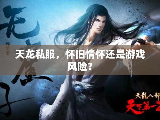 天龙私服，怀旧情怀还是游戏风险？