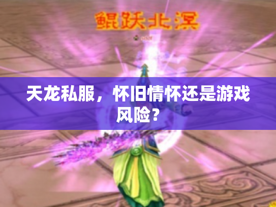 天龙私服，怀旧情怀还是游戏风险？