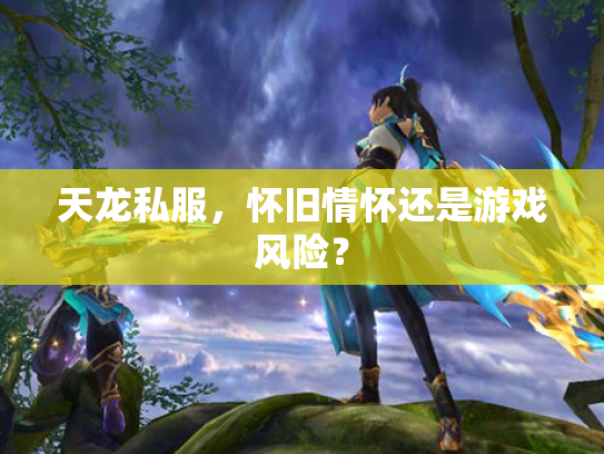 天龙私服，怀旧情怀还是游戏风险？