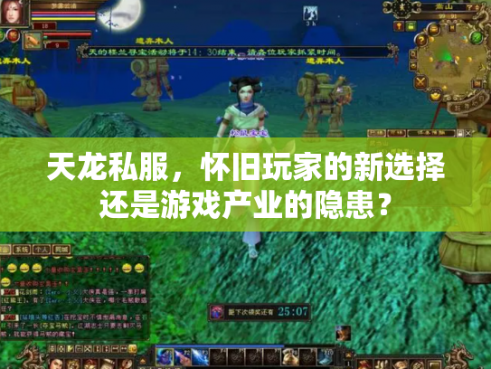 天龙私服，怀旧玩家的新选择还是游戏产业的隐患？