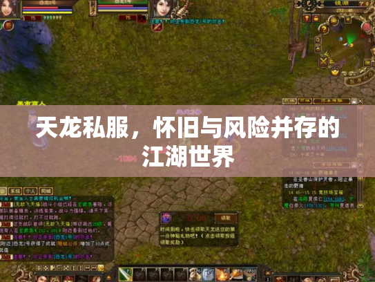 天龙私服，怀旧与风险并存的江湖世界