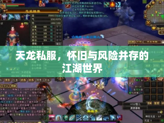 天龙私服，怀旧与风险并存的江湖世界