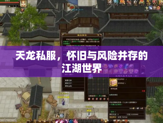 天龙私服，怀旧与风险并存的江湖世界