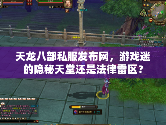 天龙八部私服发布网，游戏迷的隐秘天堂还是法律雷区？