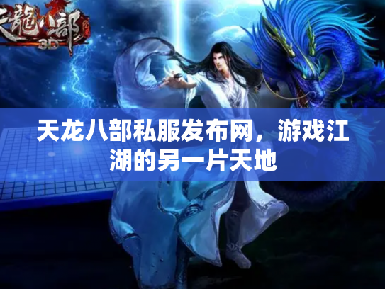 天龙八部私服发布网，游戏江湖的另一片天地