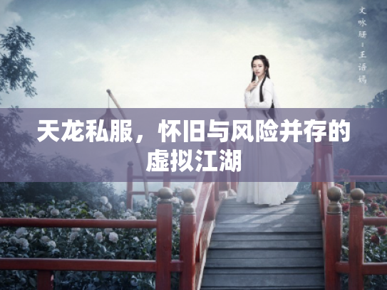 天龙私服，怀旧与风险并存的虚拟江湖