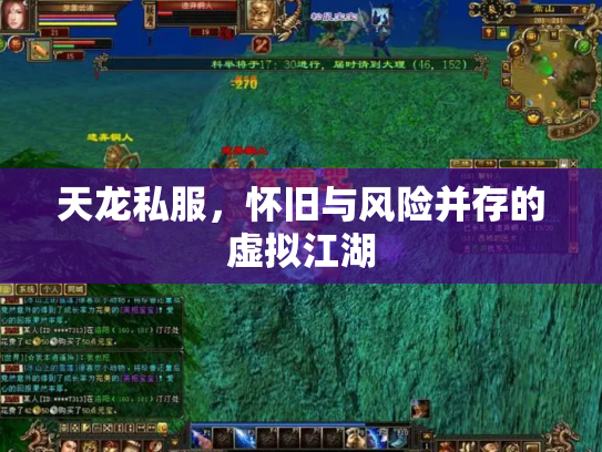 天龙私服，怀旧与风险并存的虚拟江湖