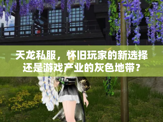 天龙私服，怀旧玩家的新选择还是游戏产业的灰色地带？