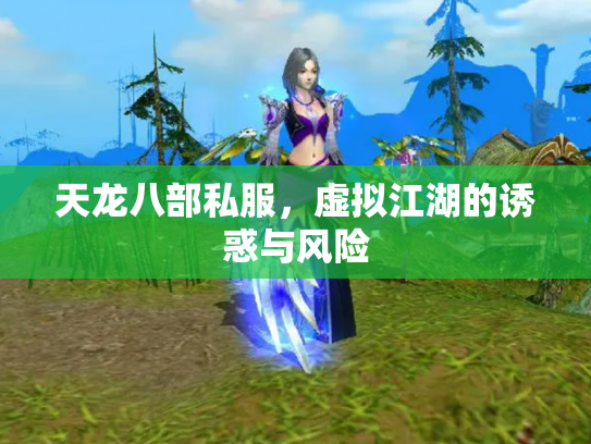 天龙八部私服，虚拟江湖的诱惑与风险