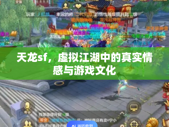 天龙sf，虚拟江湖中的真实情感与游戏文化