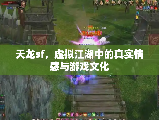 天龙sf，虚拟江湖中的真实情感与游戏文化