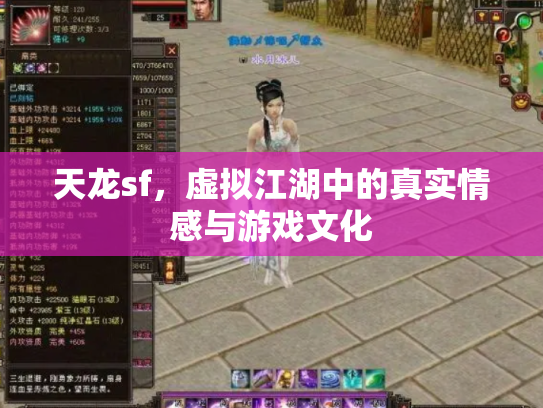 天龙sf，虚拟江湖中的真实情感与游戏文化
