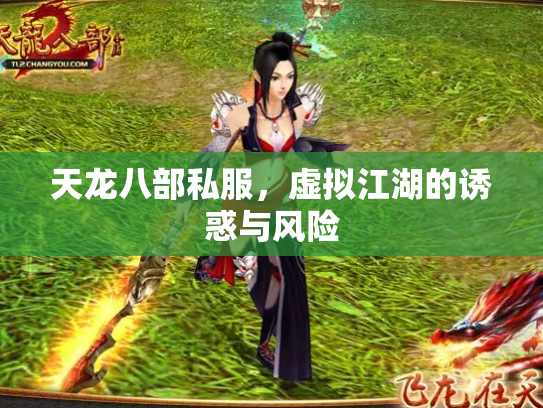 天龙八部私服，虚拟江湖的诱惑与风险