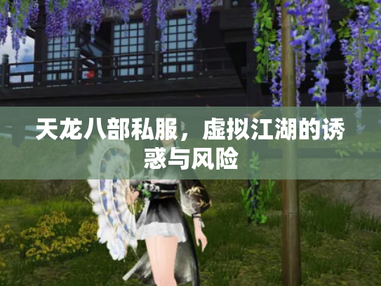 天龙八部私服，虚拟江湖的诱惑与风险