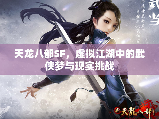 天龙八部SF，虚拟江湖中的武侠梦与现实挑战