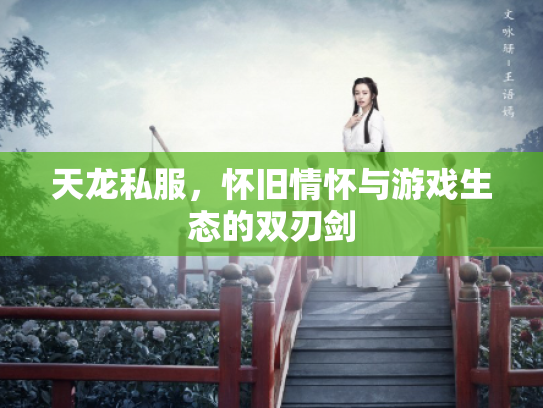 天龙私服，怀旧情怀与游戏生态的双刃剑