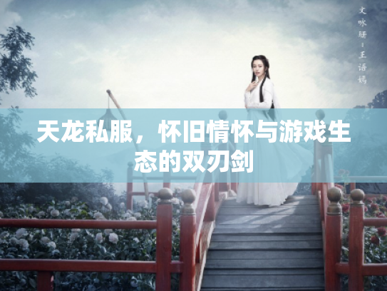 天龙私服，怀旧情怀与游戏生态的双刃剑