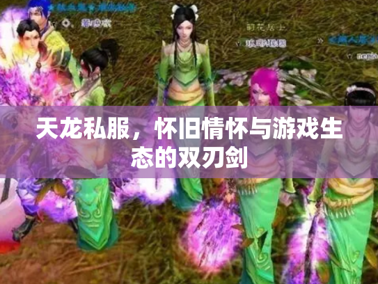天龙私服，怀旧情怀与游戏生态的双刃剑