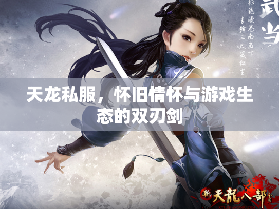 天龙私服，怀旧情怀与游戏生态的双刃剑