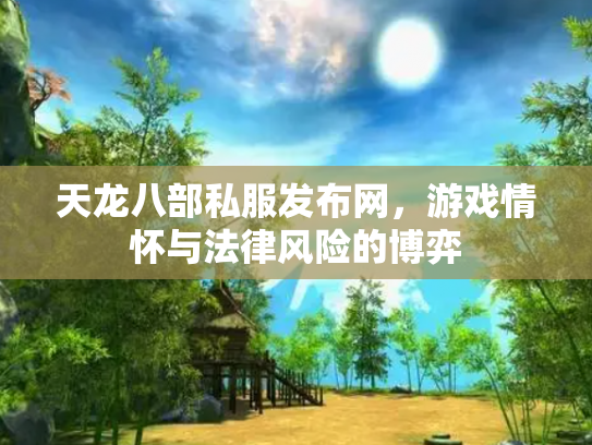 天龙八部私服发布网，游戏情怀与法律风险的博弈