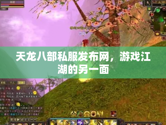 天龙八部私服发布网，游戏江湖的另一面