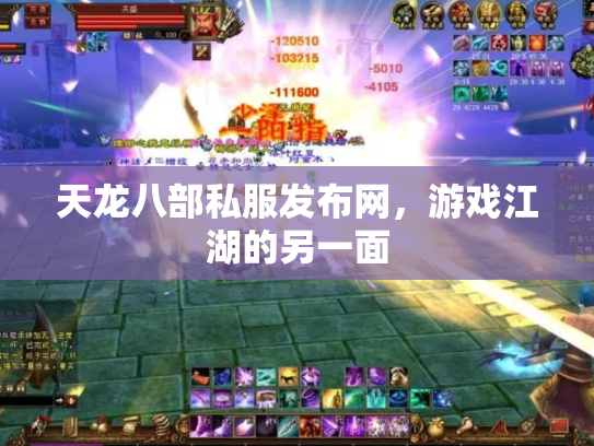 天龙八部私服发布网，游戏江湖的另一面