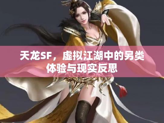 天龙SF，虚拟江湖中的另类体验与现实反思