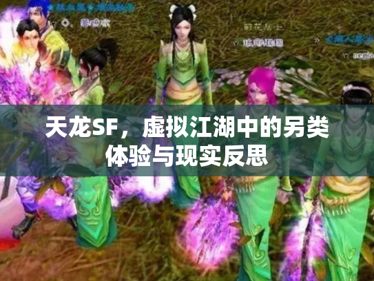 天龙SF，虚拟江湖中的另类体验与现实反思