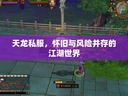 天龙私服，怀旧与风险并存的江湖世界
